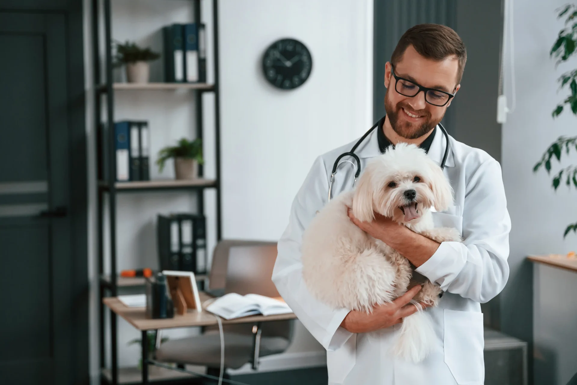 Veterinarian holding a dog representing veterinary school interview preparation